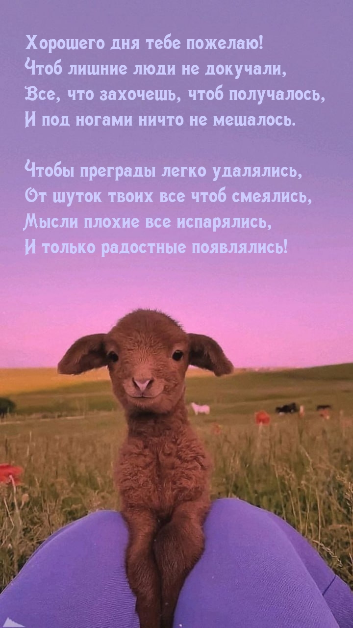 Хорошего дня тебе пожелаю! Чтоб лишние люди не докучали