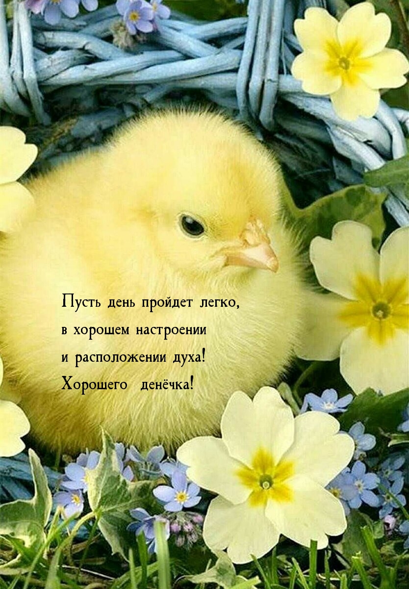 Пусть день пройдет легко, в хорошем настроении и расположении духа!