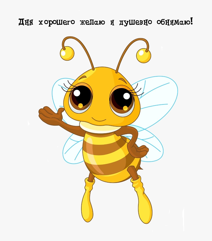 Дня хорошего желаю и душевно обнимаю!