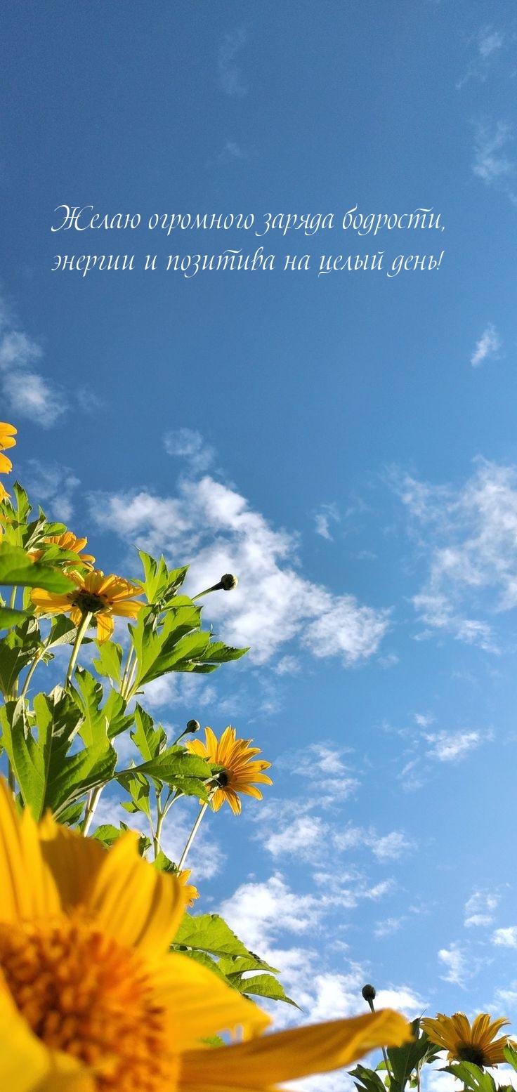 Огромного заряда бодрости, энергии и позитива на целый день!
