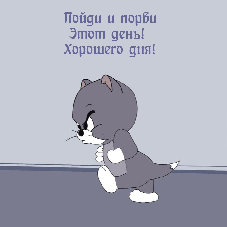 Пойди и порви этот день! Хорошего дня!