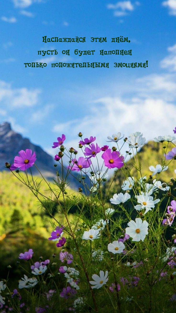 Наслаждайся днём, пусть он будет наполнен положительными эмоциями!