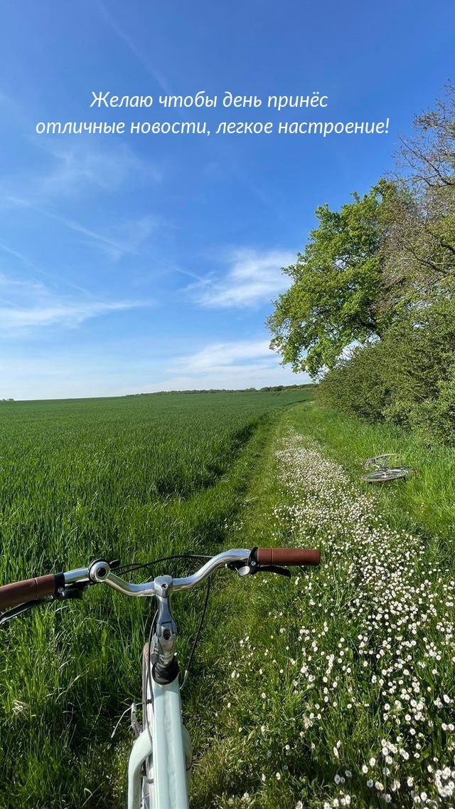 Желаю чтобы день принёс отличные новости, легкое настроение!